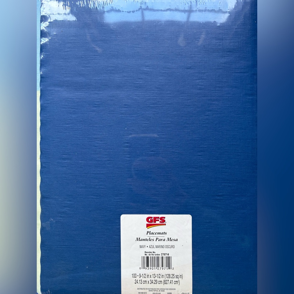 GFS Blue Placemats